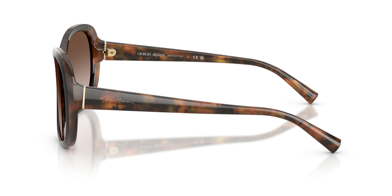 504913 - Black - Brown Gradient