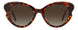 0086-HA - HVN - Brown Gradient