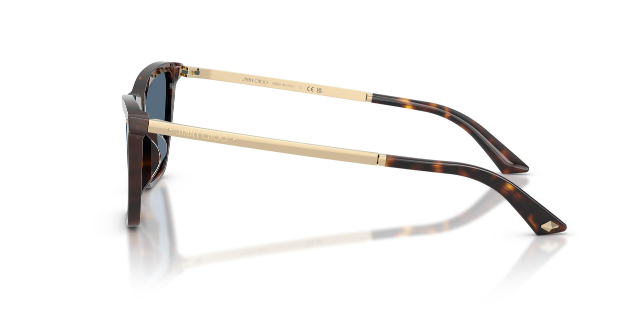 500280 - Tortoise - Dark Blue