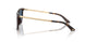 500280 - Tortoise - Dark Blue