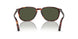 24/31 - Havana - Crystal Green