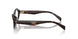 17N1O1 - Tortoise
