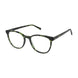 Aristar AR18449 Eyeglasses