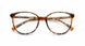 BROG - Brown Orange