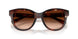 322274 - Red - Brown Gradient