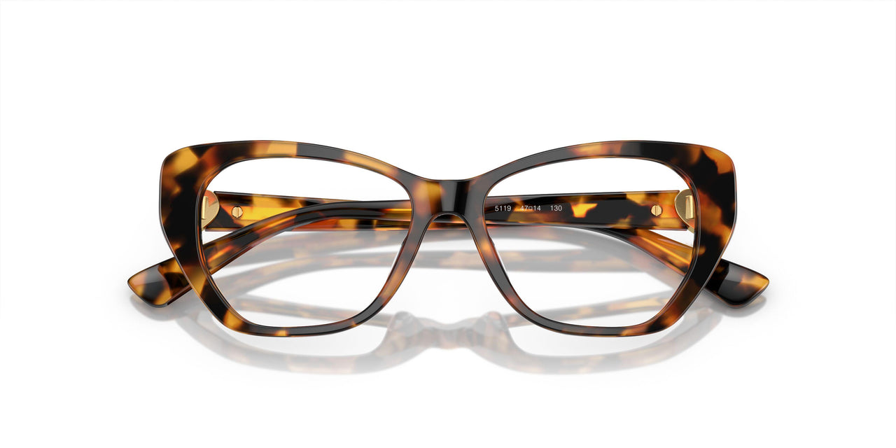 5119 - Tortoise
