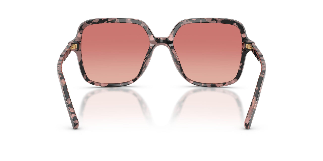 3476A5 - Tortoise - Pink Gradient Red