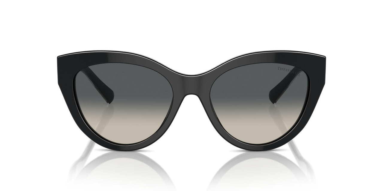 800171 - Black - Grey Gradient