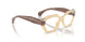 0004 - Brown