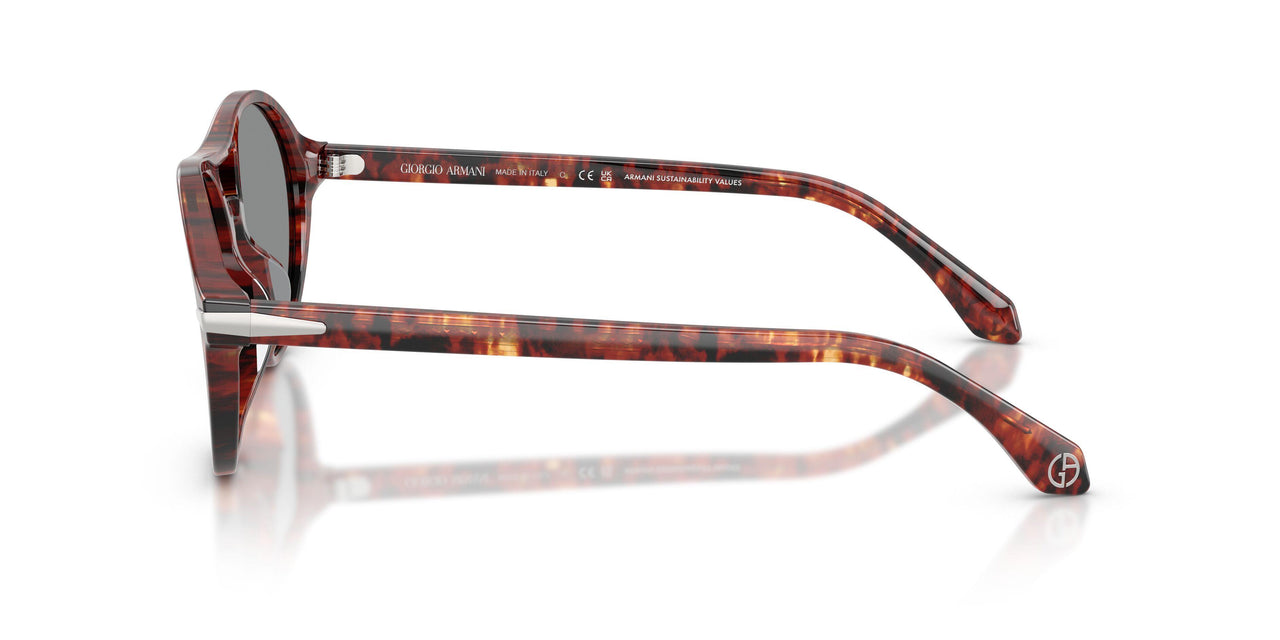 623402 - Tortoise - Blue