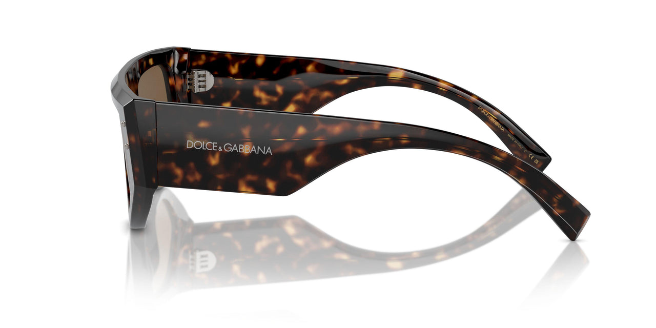 502/73 - Tortoise - Dark Brown