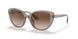 824013 - Brown - Gradient Brown