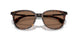 300273 - Tortoise - Solid Brown