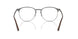 3172 - Tortoise - Clear