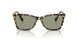 1009/2 - Tortoise - Dark Green
