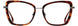 STATE Optical Co. DAPHNE Eyeglasses