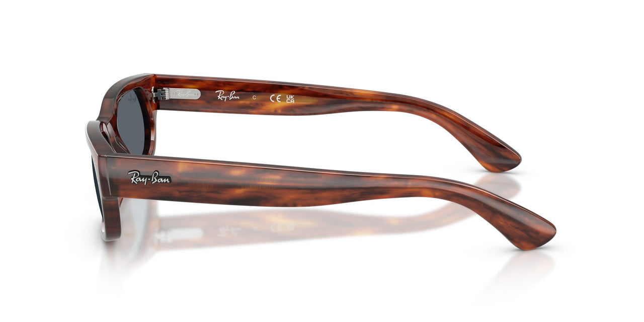 954/R5 - Brown - Blue