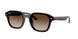 Ray-Ban 4458D Sunglasses