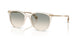 30032C - Brown - Gradient Brown