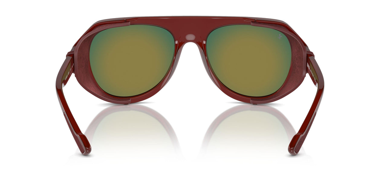 502/4D - Brown - Mirror Red Polar