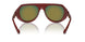 502/4D - Brown - Mirror Red Polar