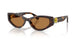 100273 - Tortoise - Bronze
