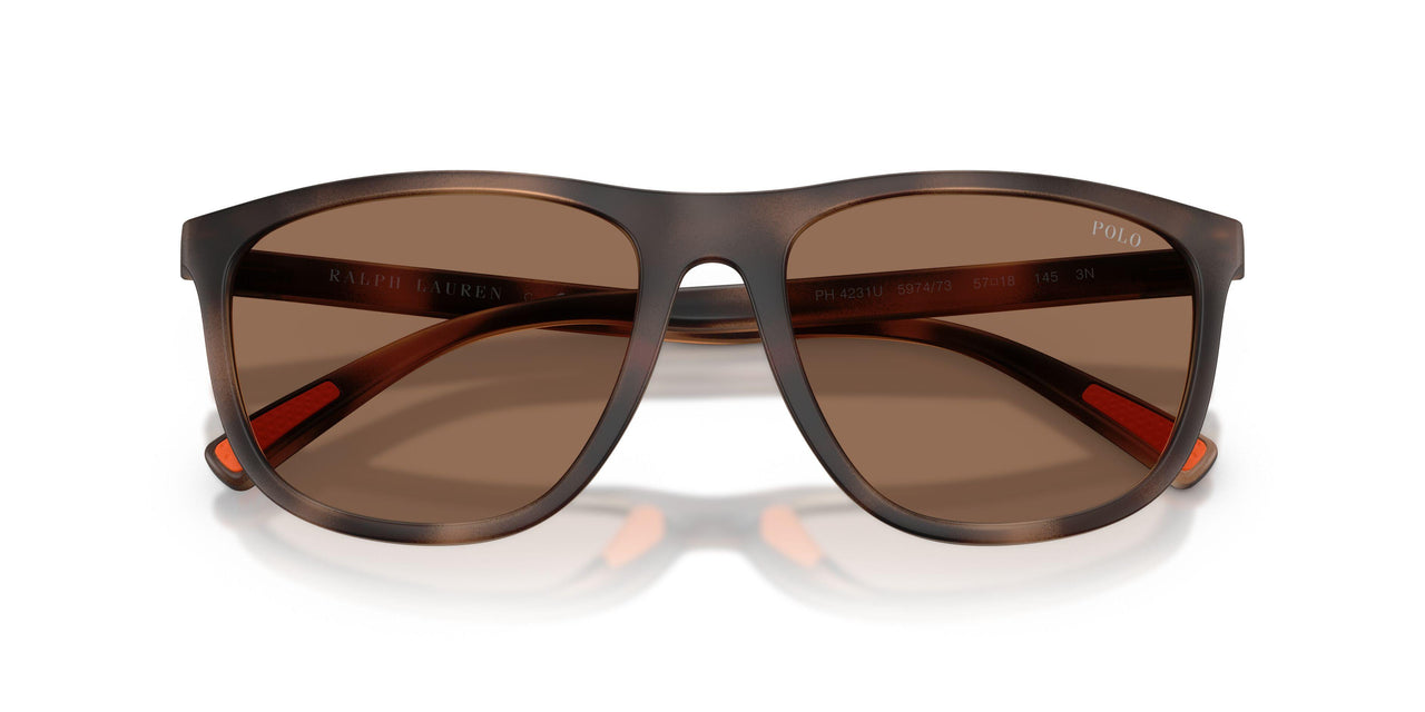 597473 - Tortoise - Dark Brown