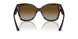 W656T5 - Brown - Brown Gradient Polar