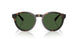 500371 - Tortoise - Bottle Green