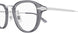 004 - Grey/Silver - Transparent