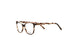 Divaldi DVO8254 Eyeglasses