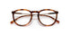 2675 - Brown - Transparent