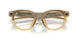 800208 - Yellow - Transitions Brown