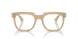 1169 - Brown - Clear