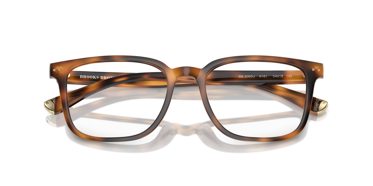 6161 - Tortoise