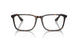 5026 - Tortoise
