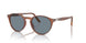 900656 - Terra Di Siena - Blue
