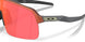 946332 - Orange - Prizm Trail Torch