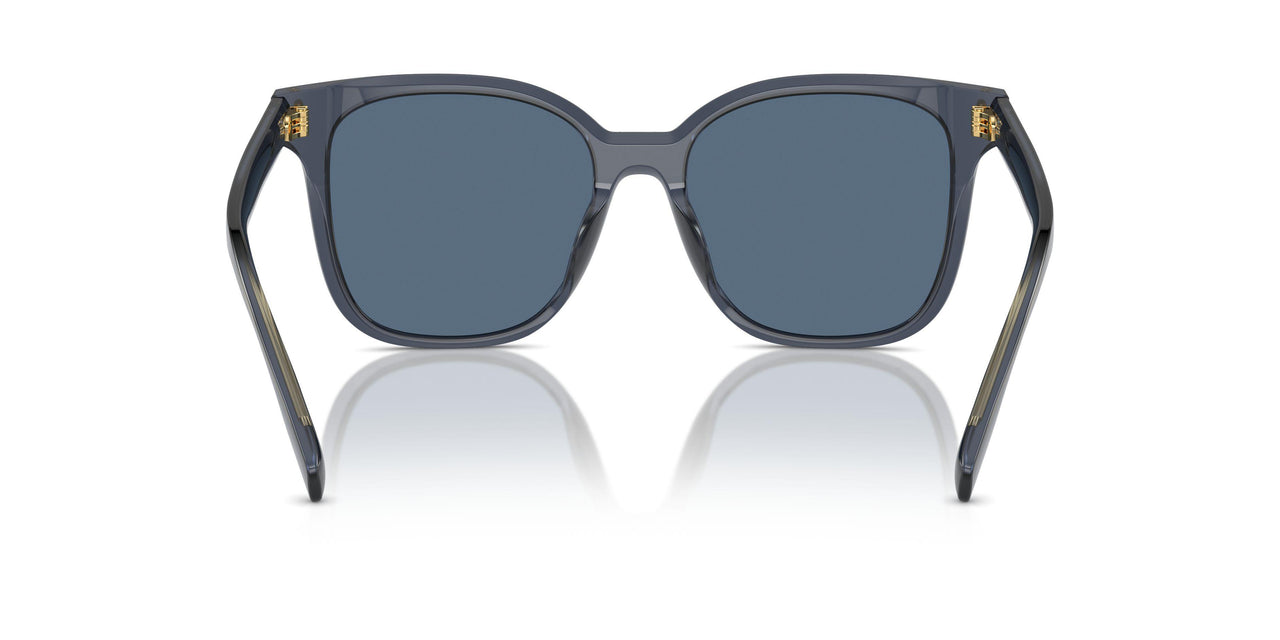 196380 - Blue - Dark Blue