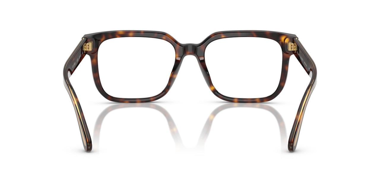 5003 - Brown
