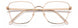 0DDB-00 - GOLD COPP