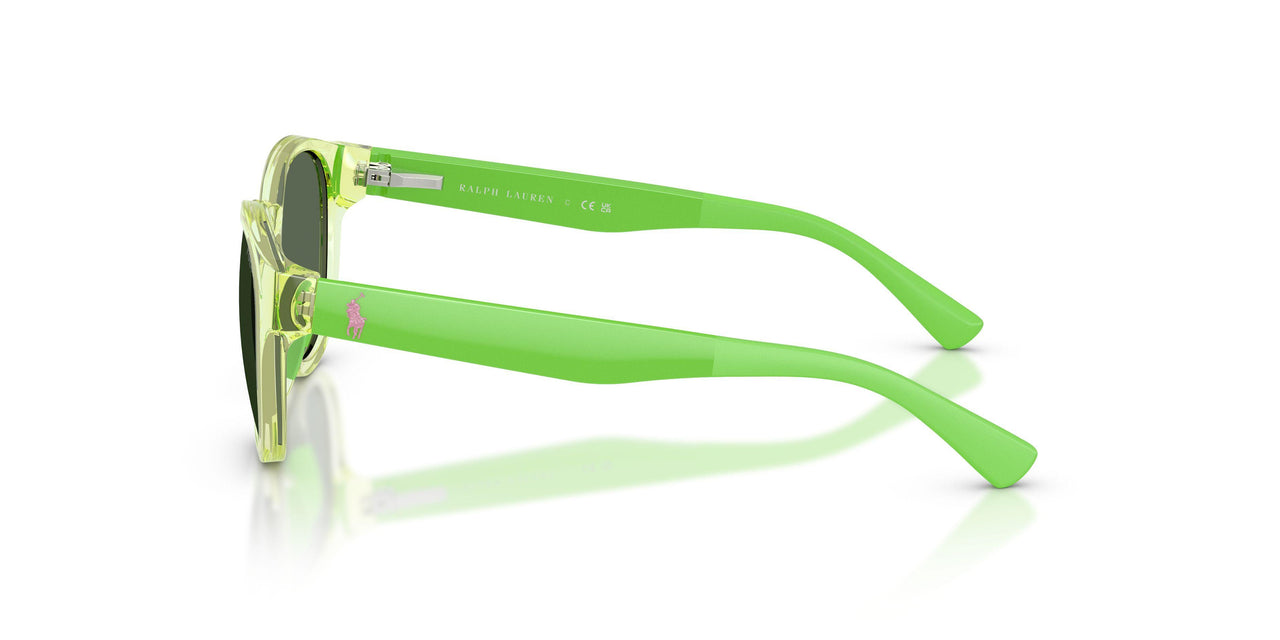 636571 - Green - Dark Green