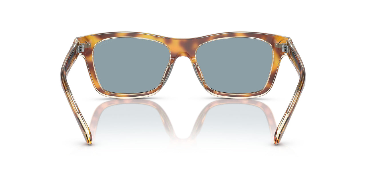 575672 - Tortoise - Light Blue Solid