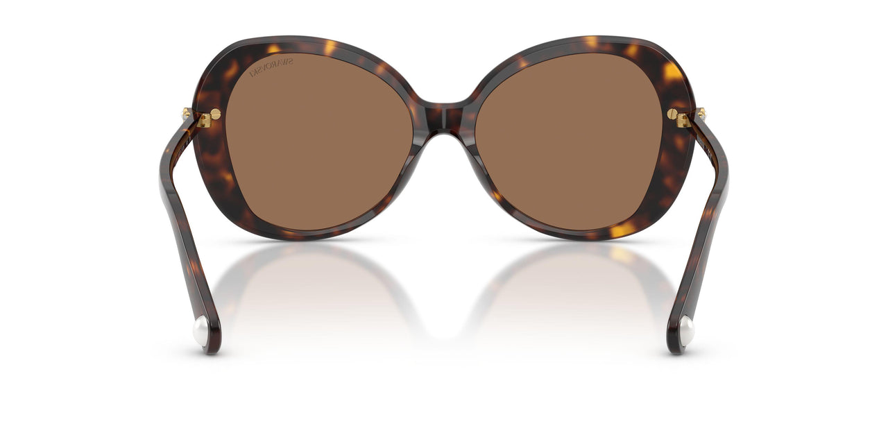 100273 - Tortoise - Dark Brown
