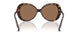100273 - Tortoise - Dark Brown