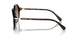 100213 - Tortoise - Brown Gradient