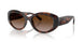 624113 - Tortoise - Gradient Brown