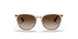 710813 - Light Brown - Gradient Brown