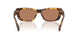 14L20D - Tortoise - Solid Brown