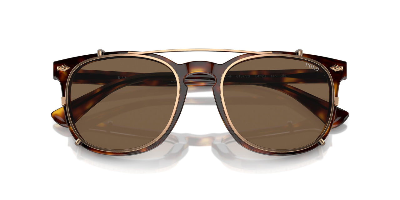 613773 - Tortoise - Brown